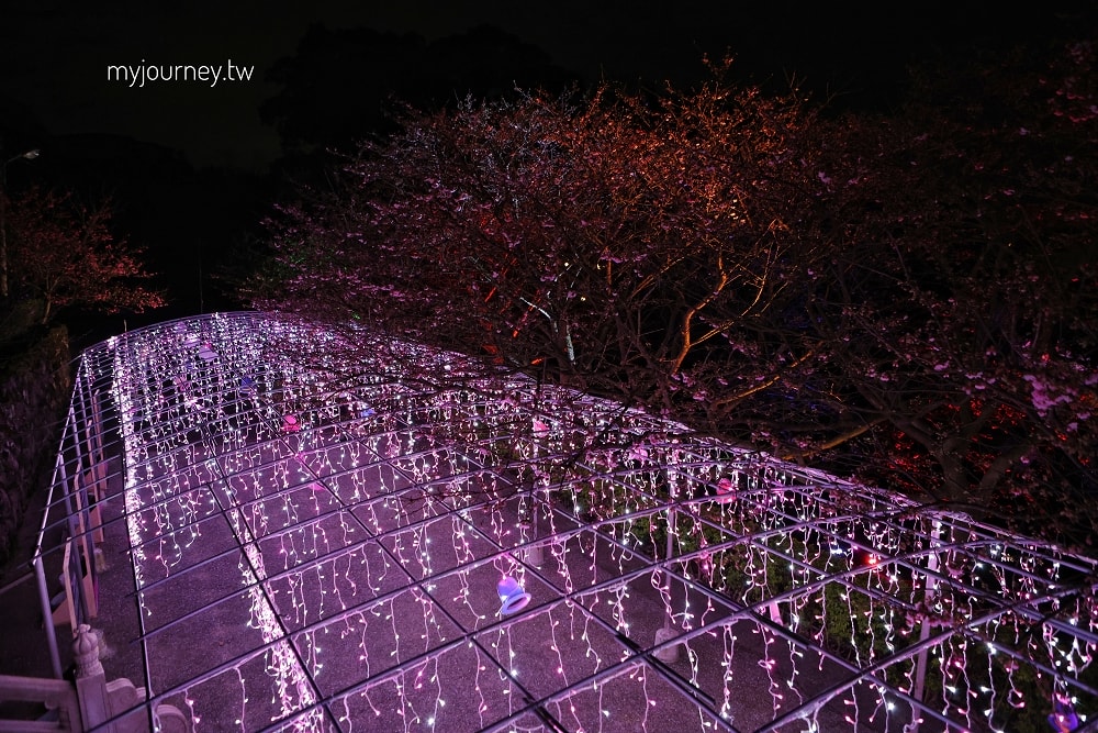 新北2026花見櫻花季│淡水天元宮夜櫻+幾米互動場景!假日親子DIY、活動一次看 - 第24張圖 新北2026花見櫻花季│淡水天元宮夜櫻+幾米互動場景!假日親子DIY、活動一次看