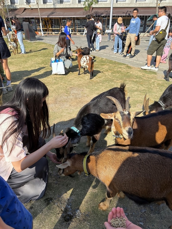 【潮州鐵道園區】坑爹飛車親子必玩+看火車+餵羊餵豬，戶外室內都能玩