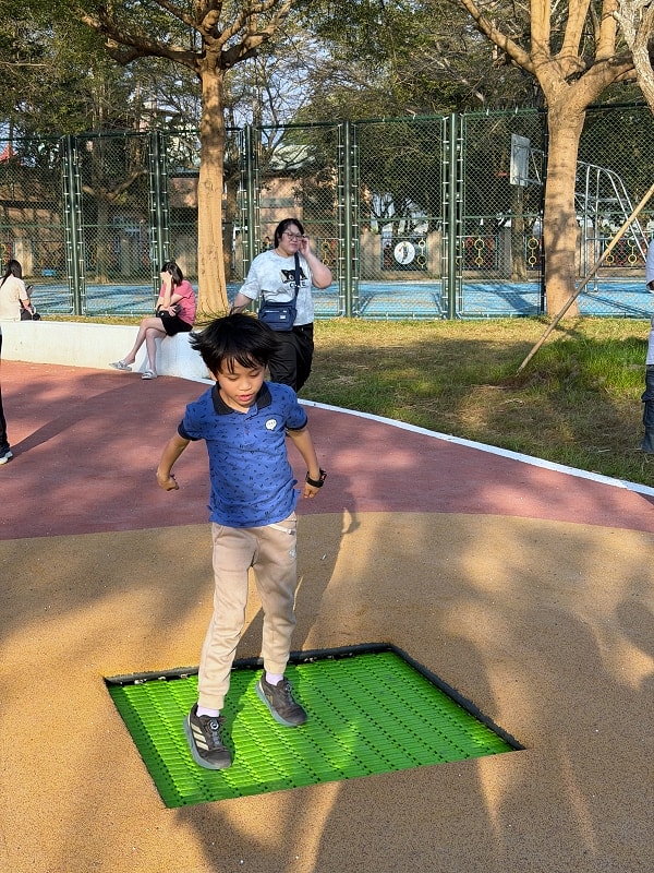 新埤貓頭鷹公園│8公尺貓頭鷹遊戲塔，動物列車，屏東最新景點