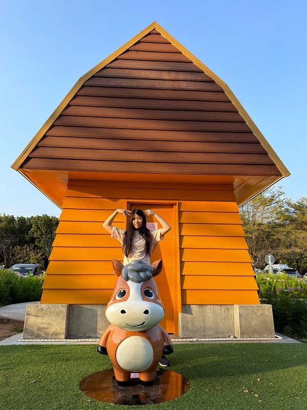 新埤貓頭鷹公園│8公尺貓頭鷹遊戲塔，動物列車，屏東最新景點