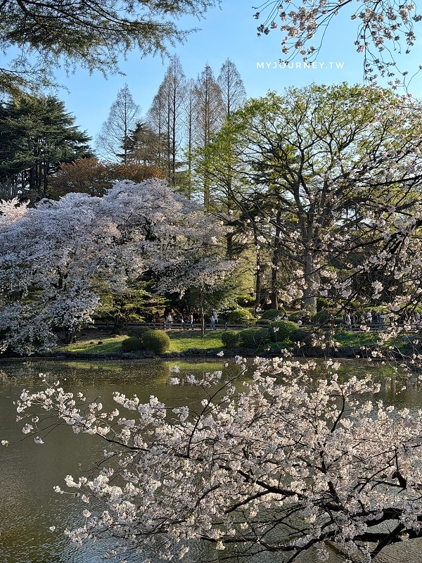 新宿御苑全攻略｜賞櫻、賞楓、親子遊， 一篇掌握四季玩法