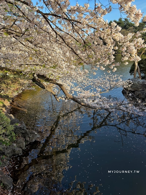 新宿御苑全攻略｜賞櫻、賞楓、親子遊， 一篇掌握四季玩法