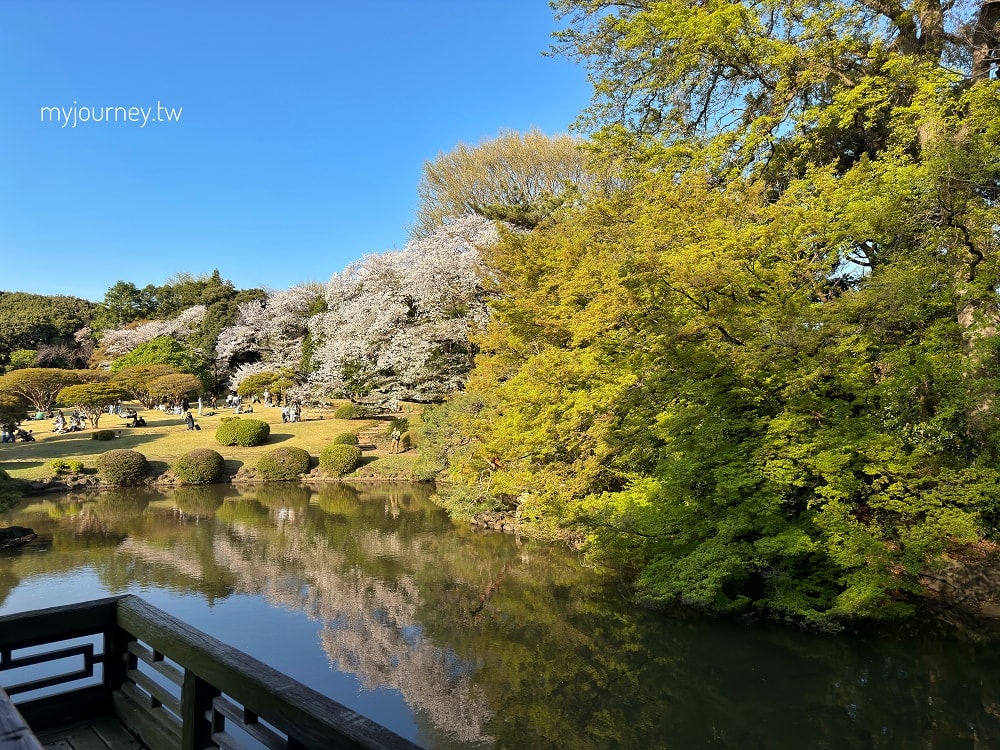 新宿御苑全攻略｜賞櫻、賞楓、親子遊， 一篇掌握四季玩法