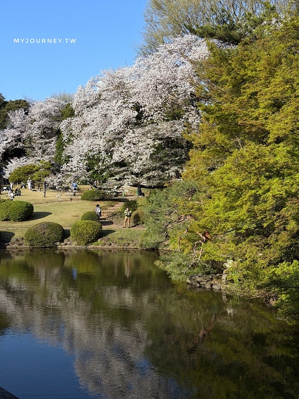 新宿御苑全攻略｜賞櫻、賞楓、親子遊， 一篇掌握四季玩法