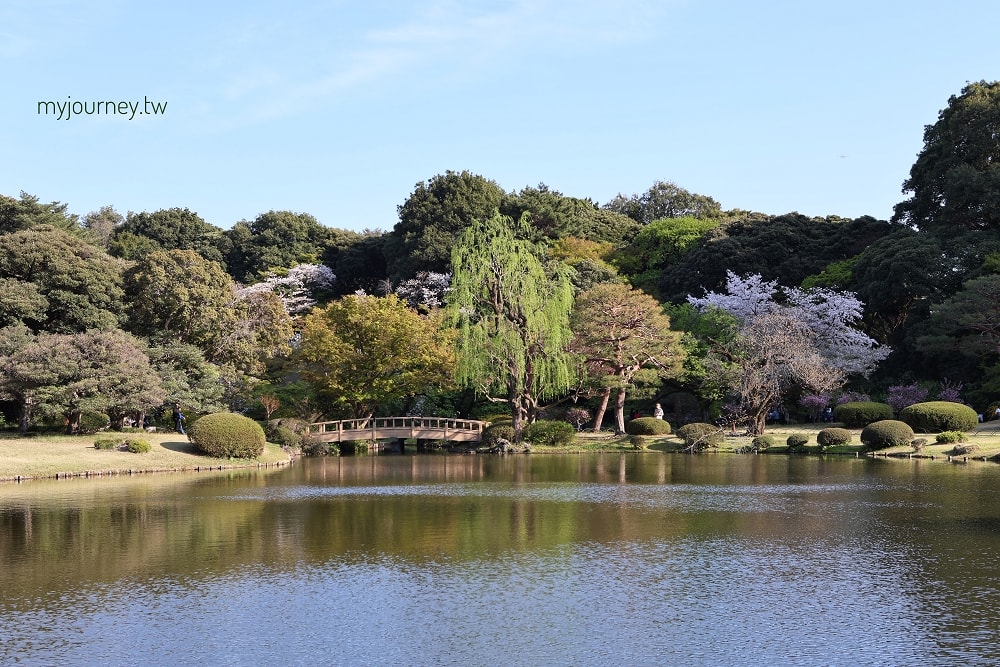 新宿御苑全攻略｜賞櫻、賞楓、親子遊， 一篇掌握四季玩法