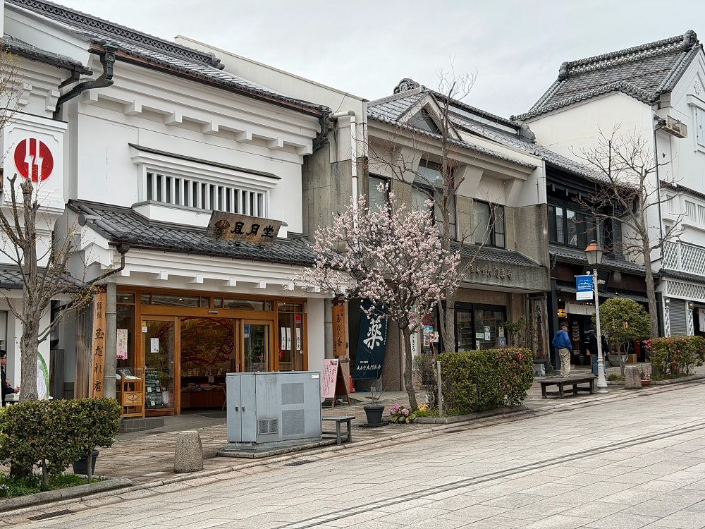 長野善光寺│交通×門票×美食推薦，免費試喝清酒邊賞櫻