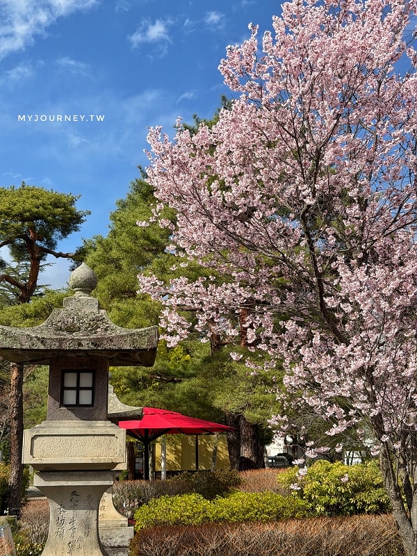 長野善光寺│交通×門票×美食推薦，免費試喝清酒邊賞櫻