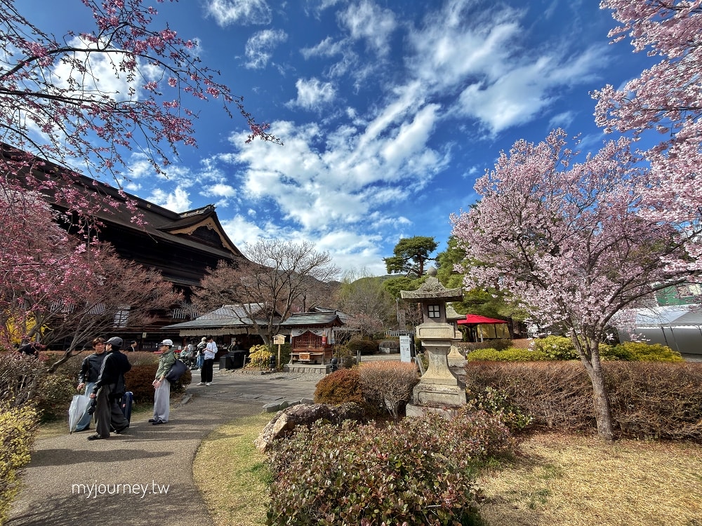 長野善光寺│交通×門票×美食推薦，免費試喝清酒邊賞櫻