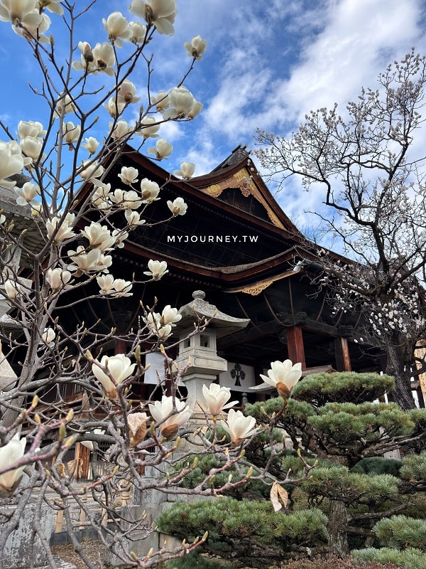 長野善光寺│交通×門票×美食推薦，免費試喝清酒邊賞櫻