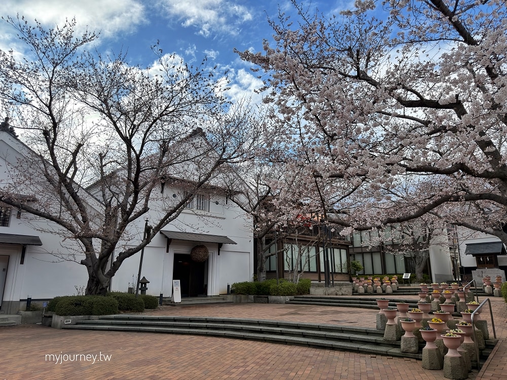 長野善光寺│交通×門票×美食推薦，免費試喝清酒邊賞櫻