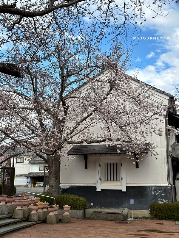 長野善光寺│交通×門票×美食推薦，免費試喝清酒邊賞櫻