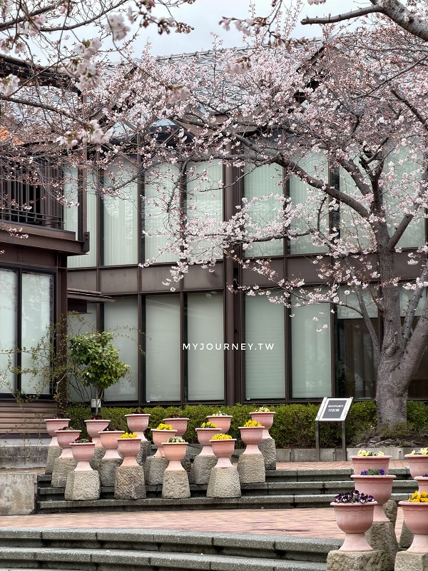 長野善光寺│交通×門票×美食推薦，免費試喝清酒邊賞櫻
