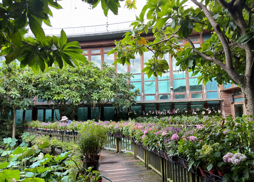 【天使生活館】台版莫內花園!藏身花博公園的森林系咖啡館,還能看飛機 - 第13張圖 【天使生活館】台版莫內花園!藏身花博公園的森林系咖啡館,還能看飛機