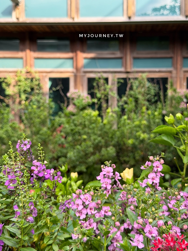 【天使生活館】台版莫內花園!藏身花博公園的森林系咖啡館,還能看飛機 - 第17張圖 【天使生活館】台版莫內花園!藏身花博公園的森林系咖啡館,還能看飛機