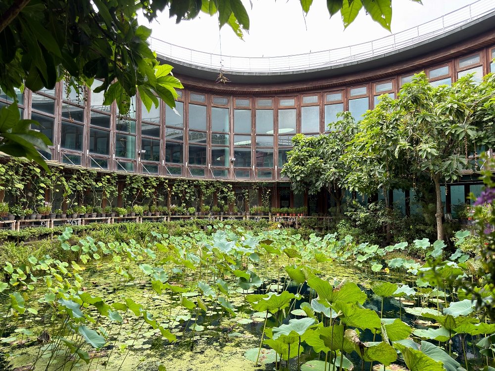 【天使生活館】台版莫內花園!藏身花博公園的森林系咖啡館,還能看飛機 - 第19張圖 【天使生活館】台版莫內花園!藏身花博公園的森林系咖啡館,還能看飛機