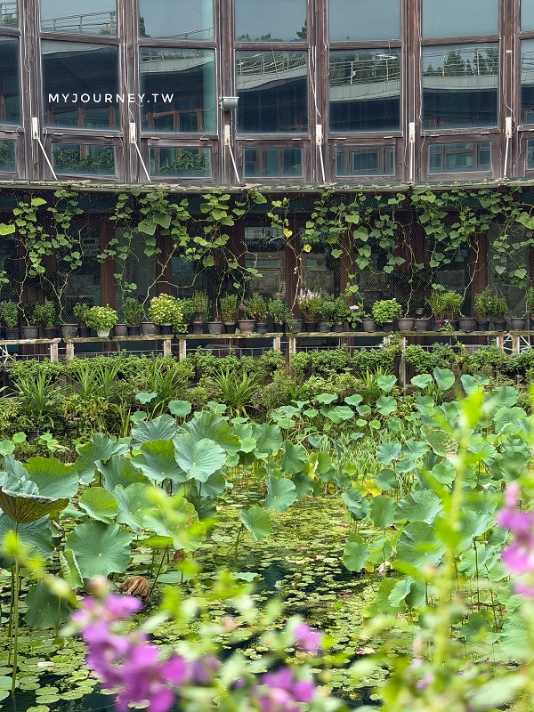 【天使生活館】台版莫內花園!藏身花博公園的森林系咖啡館,還能看飛機 - 第20張圖 【天使生活館】台版莫內花園!藏身花博公園的森林系咖啡館,還能看飛機