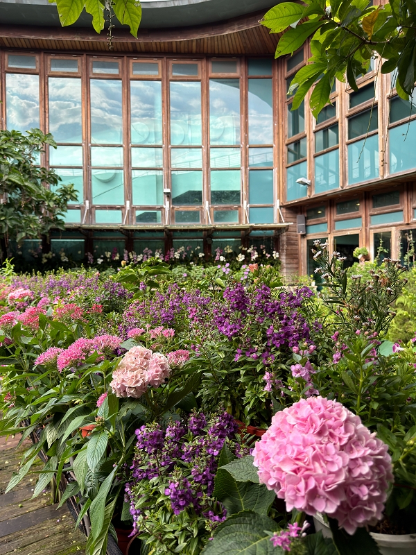 【天使生活館】台版莫內花園!藏身花博公園的森林系咖啡館,還能看飛機 - 第16張圖 【天使生活館】台版莫內花園!藏身花博公園的森林系咖啡館,還能看飛機
