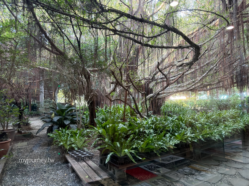 【天使生活館】台版莫內花園!藏身花博公園的森林系咖啡館,還能看飛機 - 第12張圖 【天使生活館】台版莫內花園!藏身花博公園的森林系咖啡館,還能看飛機