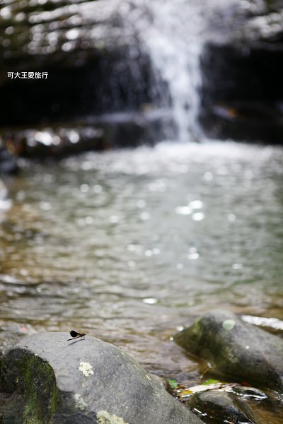 Xizhi waterfall 21
