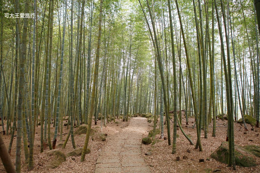 bamboo battlefield 13